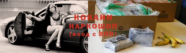 сатива Михайловка