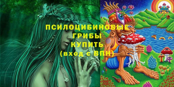 a pvp Михайлов