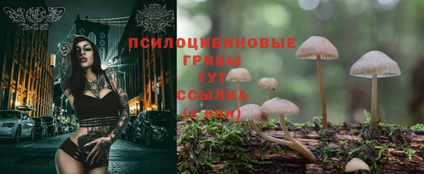 экстази Михайловск