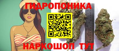 СК Канаш