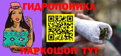 твердый Камышлов