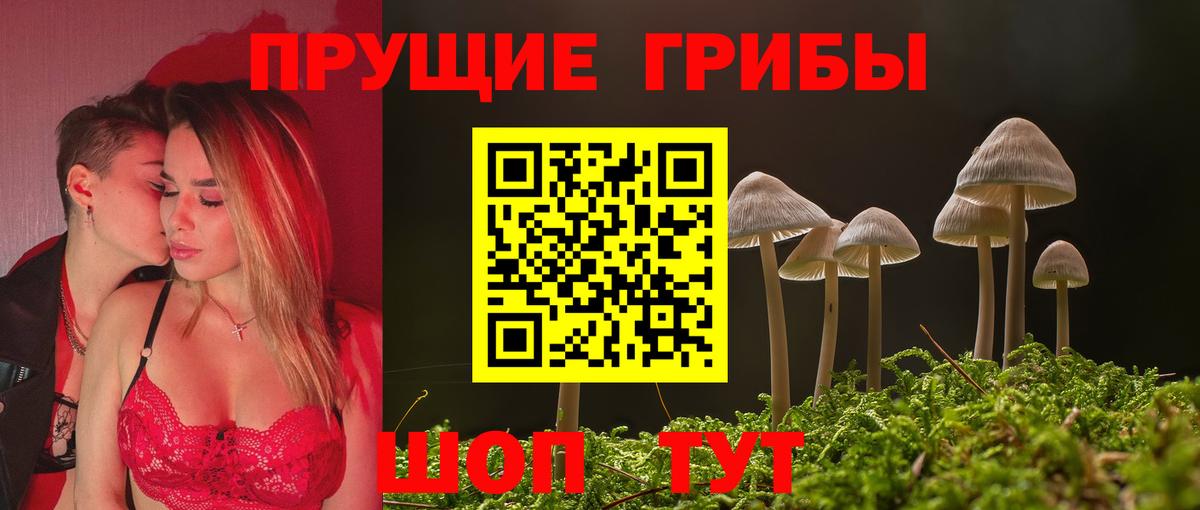 Псилоцибиновые грибы Psilocybe Сафоново