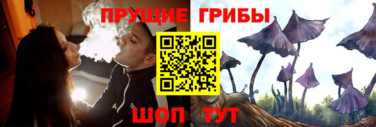 Псилоцибиновые грибы Psilocybe Сафоново